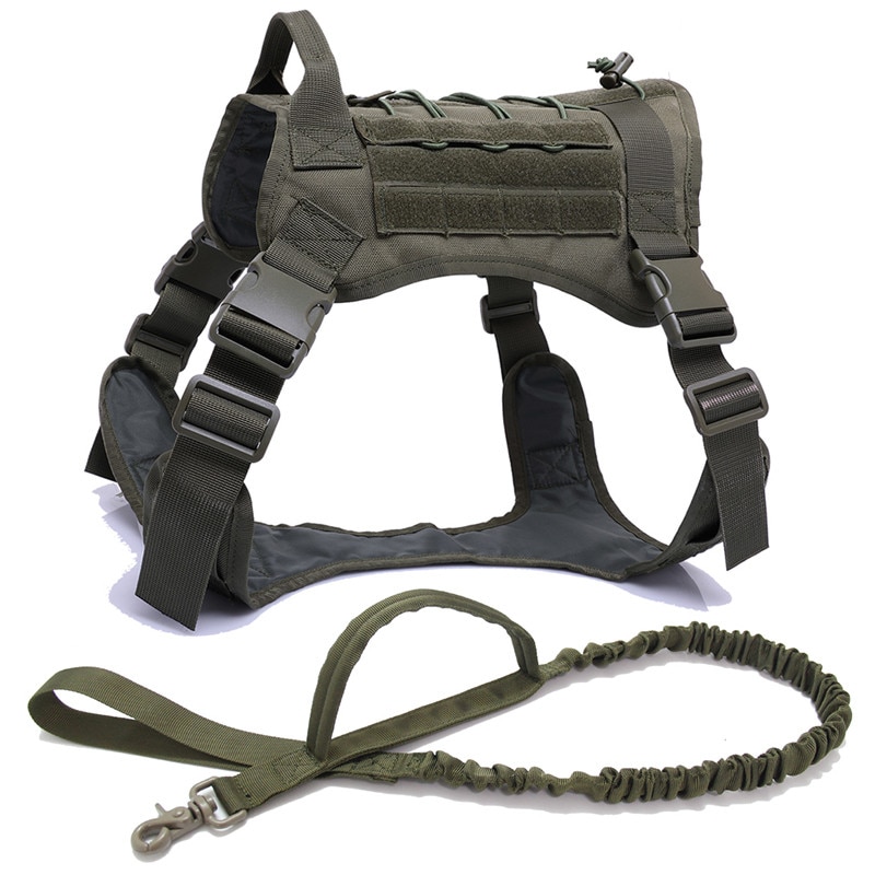 Ranger Green Harness and Leash