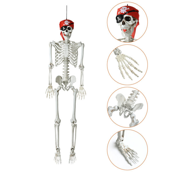 Halloween Decorations Skeleton Skull12