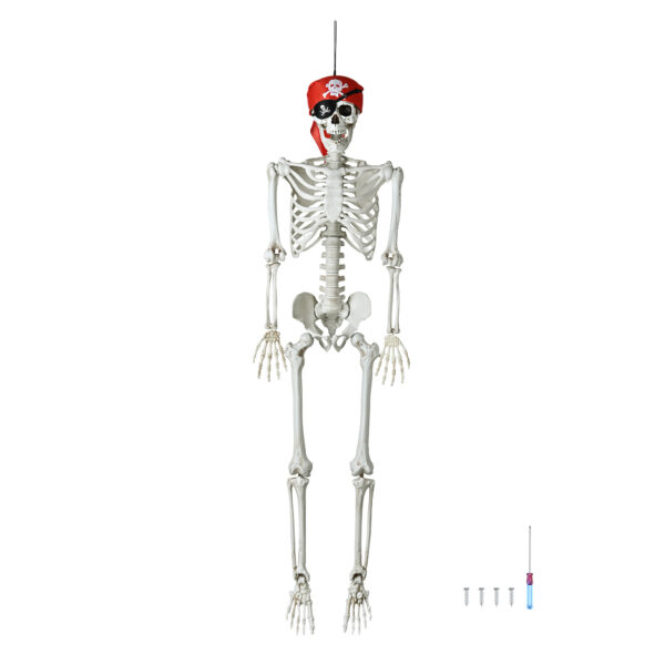 Halloween Decorations Skeleton Skull4