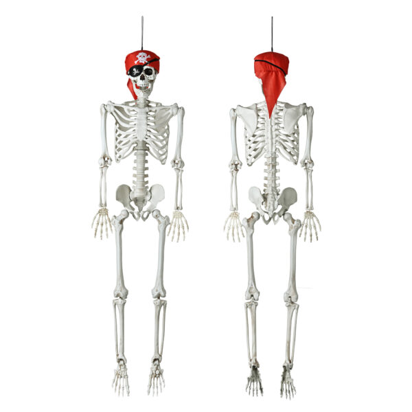 Halloween Decorations Skeleton Skull8