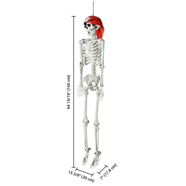 Halloween Decorations Skeleton Skull9